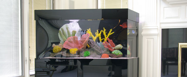 The Feng Shui of Aquarium Design