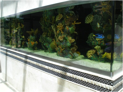aquariumNo6