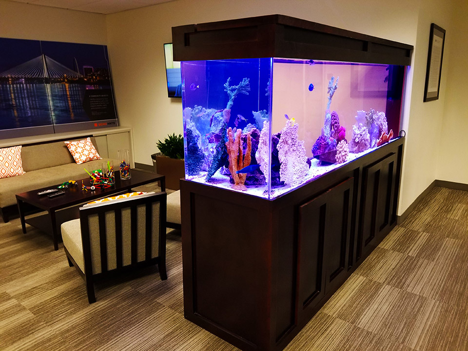 custom aquariums hawaii